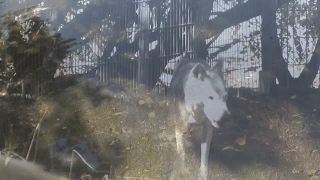 Самоубийцы смотреть онлайн
