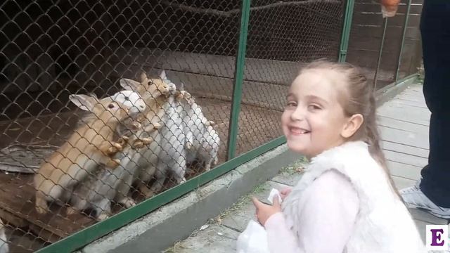 Evelina в мини ЗООПАРКЕ: зоопарк для самых маленьких minizoozajki смотреть онлайн