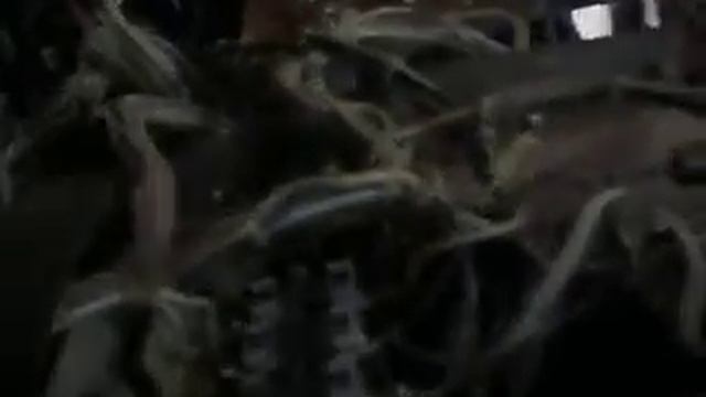 Снежеть 204 Стерео. смотреть онлайн