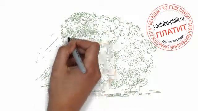 Как нарисовать цветную капусту карандашом смотреть онлайн