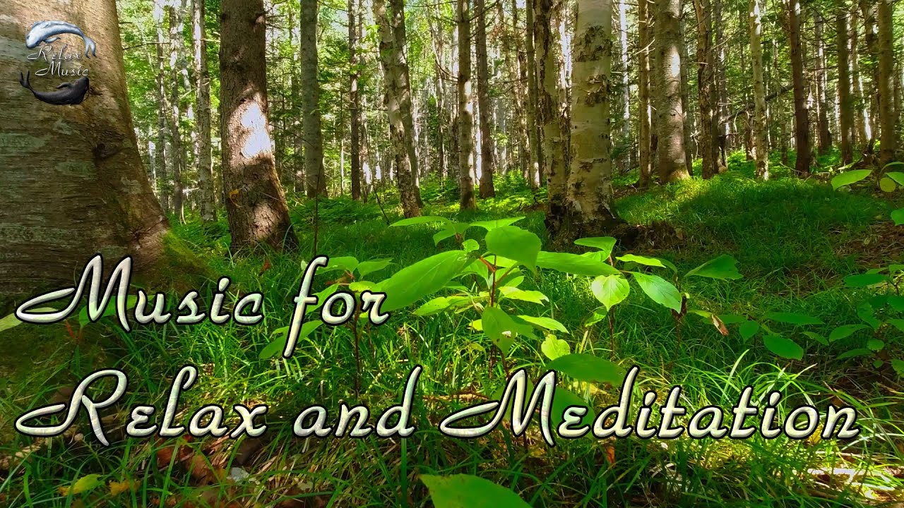 10 минут приятной музыки для Отдыха, Медитации, Сна смотреть онлайн