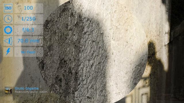 Nikon D5100 with 70-300mm f/4-5.6 lens samples смотреть онлайн