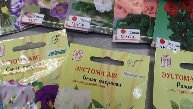 красавица эустома- выбираем семена смотреть онлайн