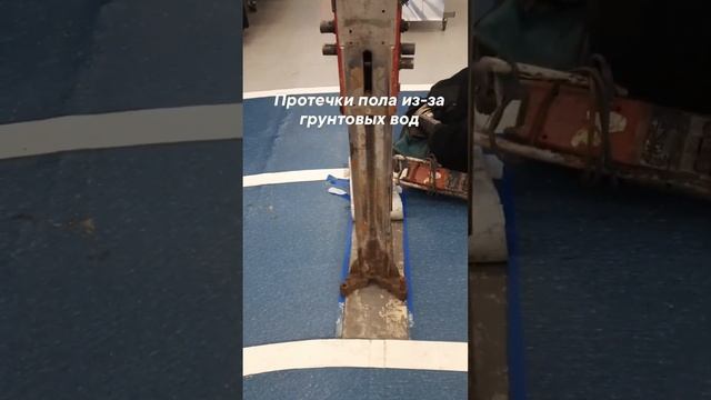 Экспертиза полов в супермаркете "Спортмастер" смотреть онлайн