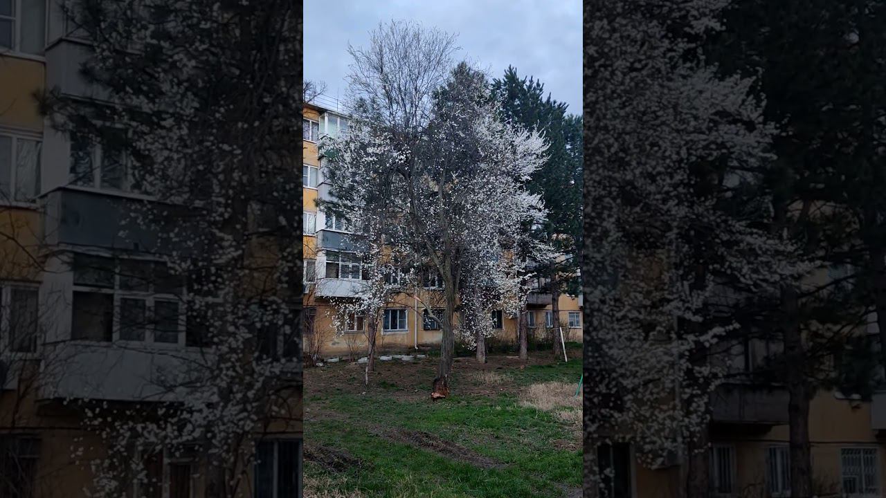 Весна смотреть онлайн