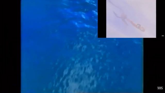 Dreamworks Animation SKG (Shark Tale Variant) has a Sparta Remix (Firty Ash Style) смотреть онлайн