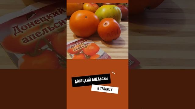 томаты // донецкий апельсин смотреть онлайн