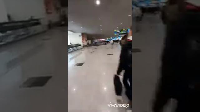 Мы не первые открыватели Санкт-Петербурга. Я люблю длинную дорогу. В путь. смотреть онлайн