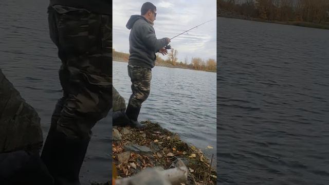 Костури гол след гол смотреть онлайн
