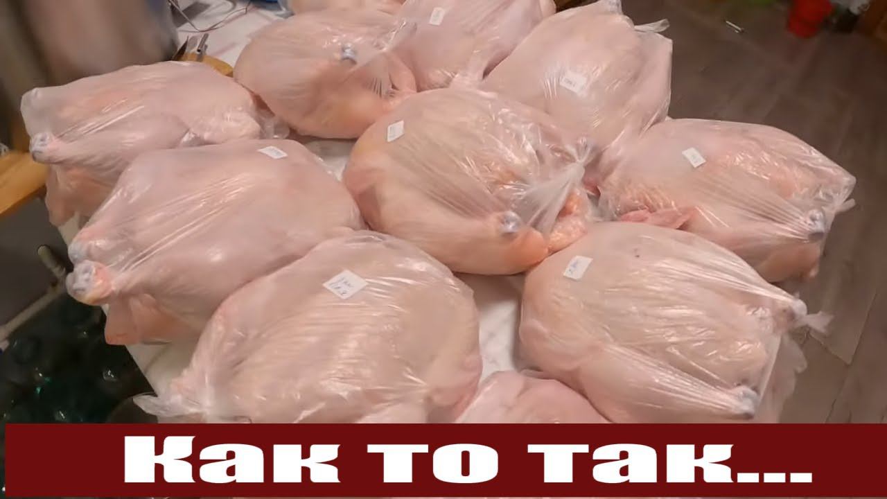 Кое что уже "наколхозил" , два мясных дня и "приличные" бройлеры - куры! смотреть онлайн