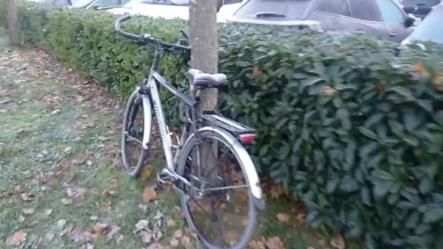 Город Макон, мороз, ходульки и орга'н. смотреть онлайн