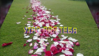Утро для тебя смотреть онлайн