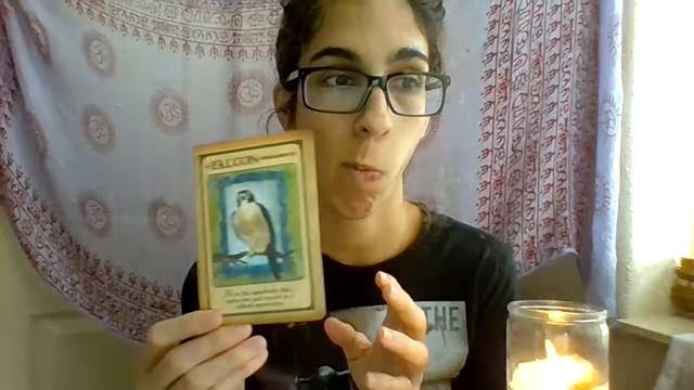 Purchased Client Oracle Card Reading, Animal Spirit Guides, Whispers Of Love - 038 смотреть онлайн