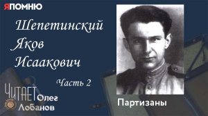 Шепетинский Яков Исаакович. Часть 2. Проект "Я помню" Артема Драбкина.  Партизаны