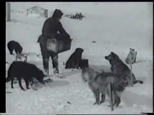 "На Северном полюсе" (1937); #северныйполюс