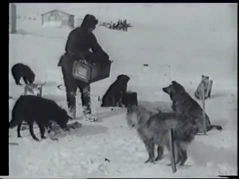 "На Северном полюсе" (1937); #северныйполюс