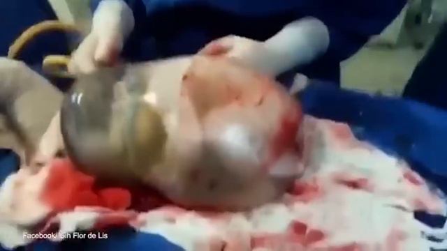 В рубашке родился смотреть онлайн
