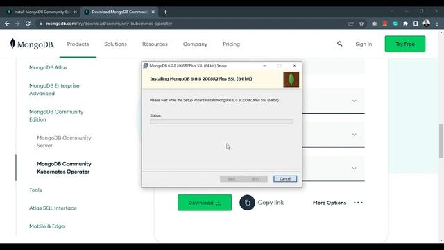 How to install MongoDB & MongoDB Compass in Windows 10 смотреть онлайн