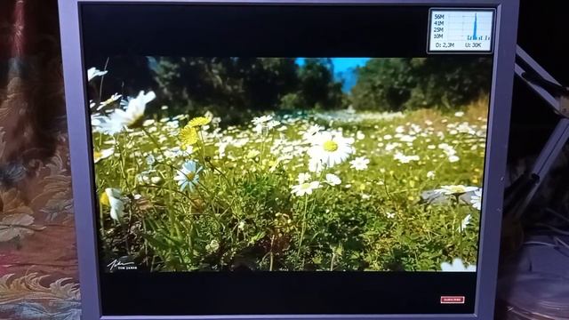 Монитор LG Flatron L1919S смотреть онлайн