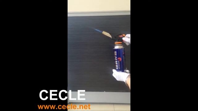 WS 509C смотреть онлайн