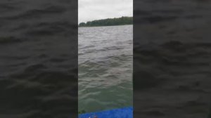 Катамаран 360 под 15 + гидрокрыло....