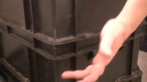 Разведение калифорнийских червей для получения биогумуса дома. Гусар Любовь