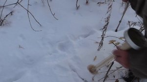 Эффективный способ установки капкана на лису в след