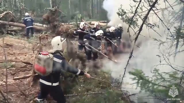 В регионе сохраняется высокий класс пожарной опасности. Убедись, что ты не оставил окурок в лесу смотреть онлайн