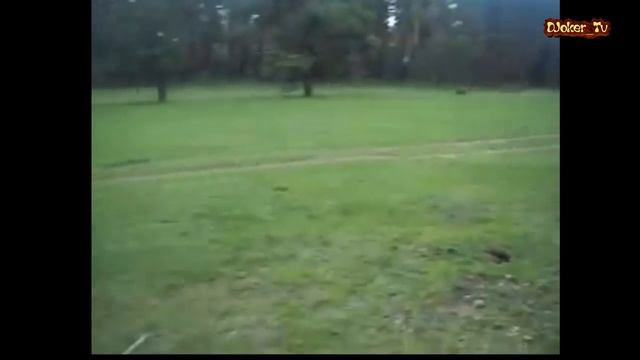 Garret Ace 350 Evro поиск монет по выбитому месту смотреть онлайн