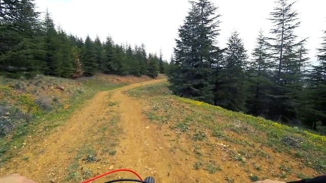 Bisiklet İle Yasak Öncesi Stress Seviyemi Azaltıyorum | Bike Vlog | Bisiklet İle Ormanda Bir Gün смотреть онлайн