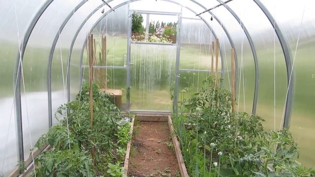 Моя дача, посадки - я в шоке! смотреть онлайн