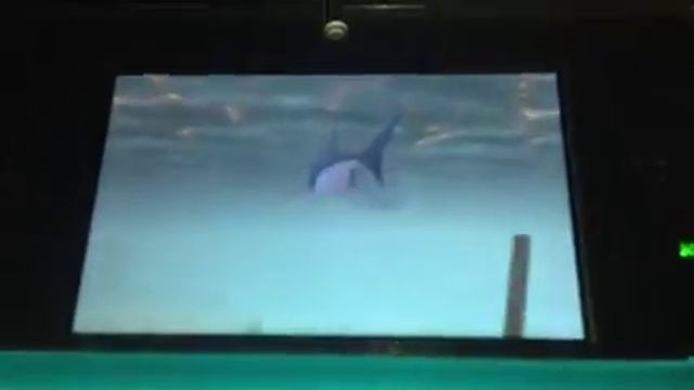 Jaws Ultimate Predator 3DS Glitch смотреть онлайн