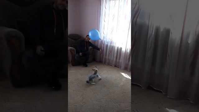 Есть контакт)))) смотреть онлайн