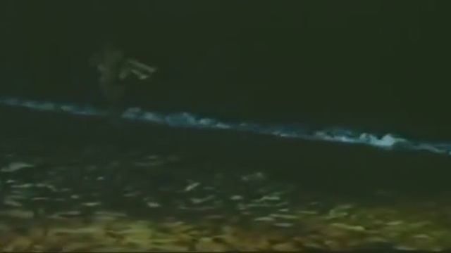 RAIDERS OF THE DOOMED KINGDOM смотреть онлайн