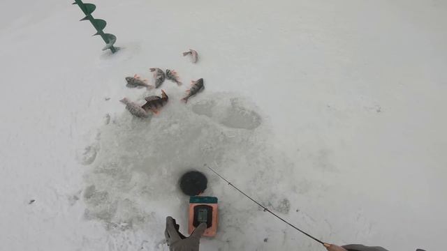 РЫБАЛКА НА ВОЛГЕ / ЛОВЛЯ ОКУНЯ НА БАЛАНСИР С ЭХОЛОТОМ ПРАКТИК / ЖИГУЛЁВСКИЕ ГОРЫ /PERCH ON THE VOLG