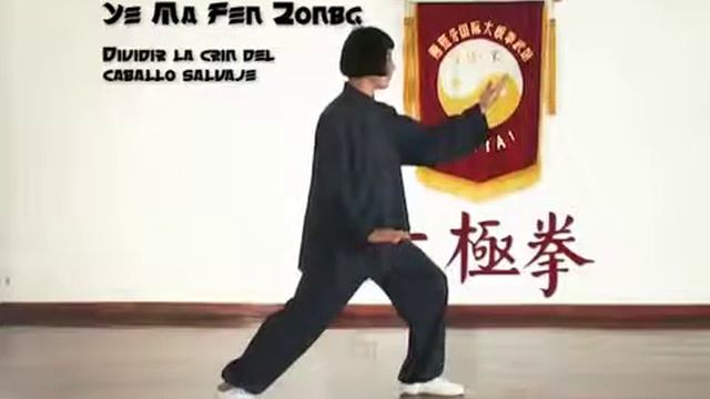 TAI CHI ☯ FORMA 10 ESTILO YANG смотреть онлайн