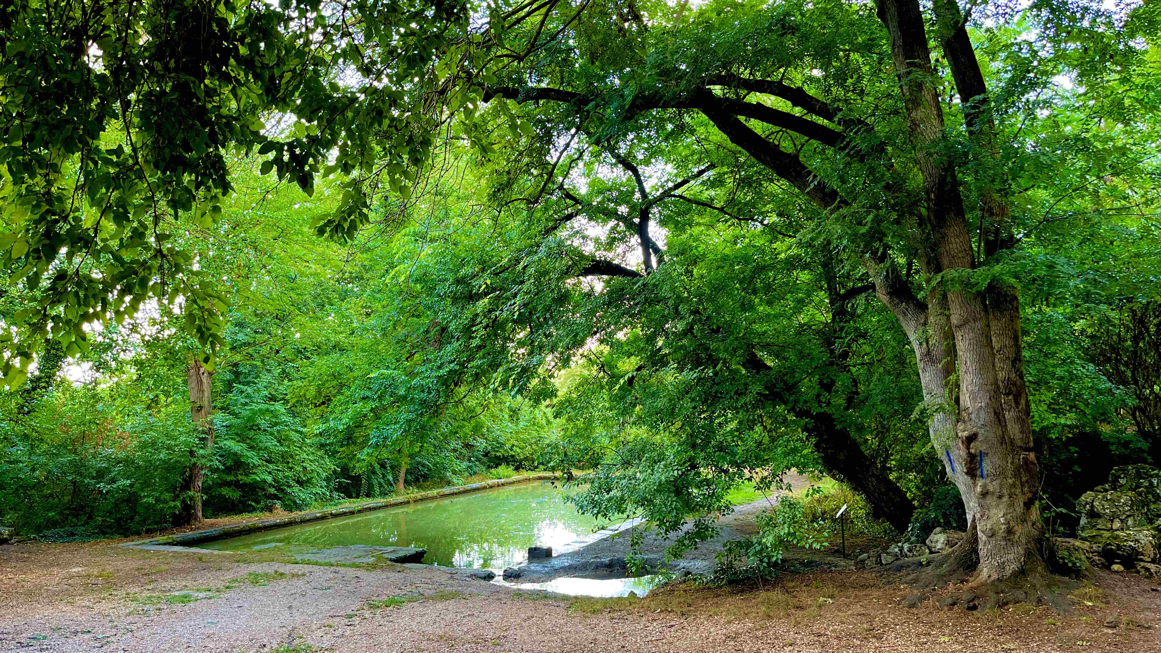 МАКСИМОВА ДАЧА-МЕСТО ,в котором ВРЕМЯ ОСТАНОВИЛОСЬ! РАЙСКИЙ САД в СЕВАСТОПОЛЕ ! Севастополь 2022 смотреть онлайн