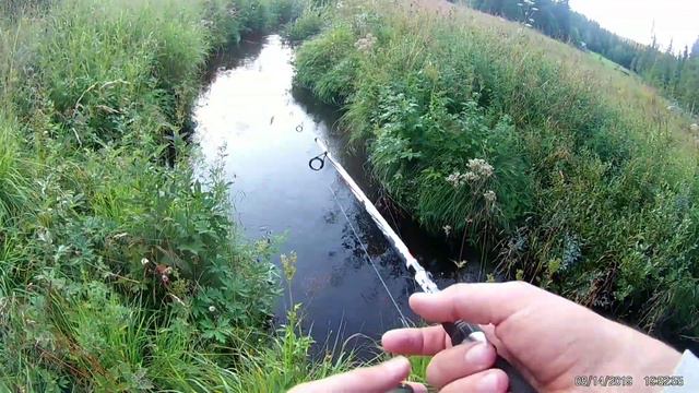Поиск форели на Микро речке! Кто ищет тот находит. смотреть онлайн