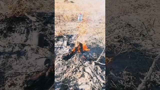 как выжить в степи Казахстан смотреть онлайн