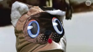 КАКИЕ ОНИ, ХОЗЯИНЫ?