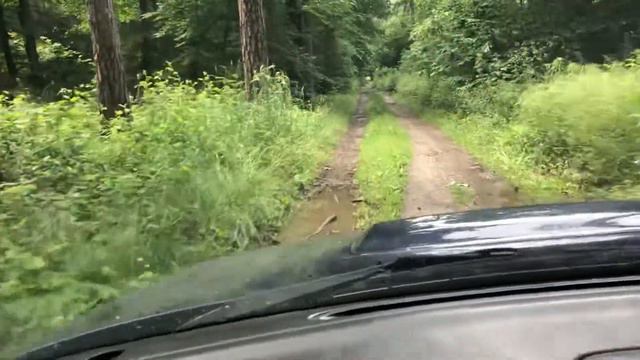 Subaru Forester sf offroad смотреть онлайн