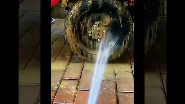 Гаджет для дома Лайфхаки для полива с разной струей воды #shorts смотреть онлайн