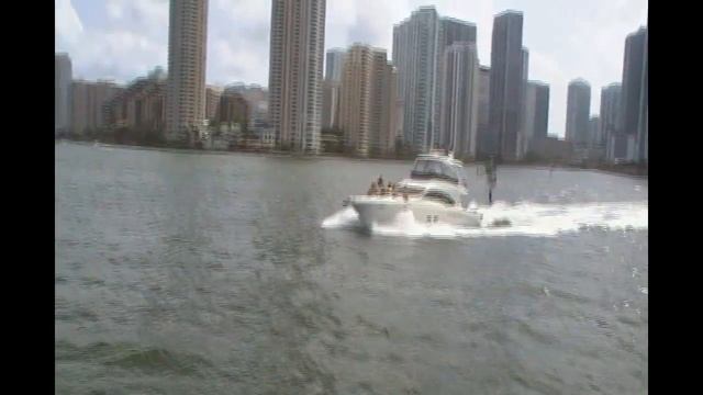 Miami Safari tour смотреть онлайн