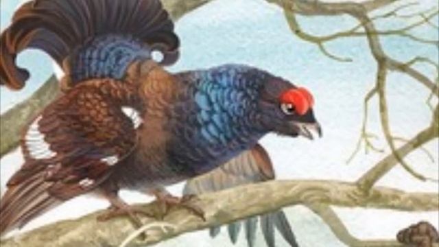 Сказки про животных - Лиса и Тетерев смотреть онлайн