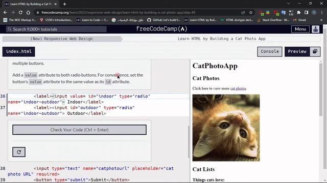Learn HTML By building a cat photo app : Step - 49 смотреть онлайн