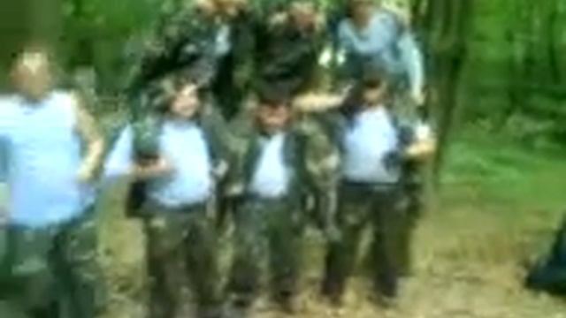 Гюрза на отдыхе