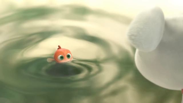 A JOY Story: JOY And Lucky Carp