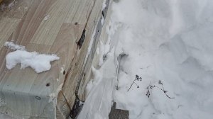 очищаем летки.