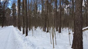 Швея–разведенка приютила сироту… Все смеялись, а когда через 20 лет к ее дому подъехал странный авт