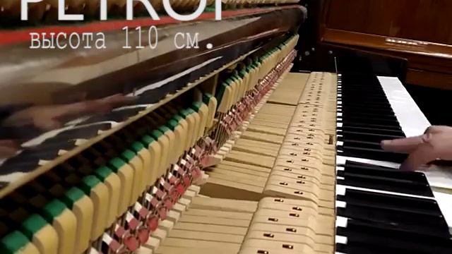 PETROF модель Сонатина